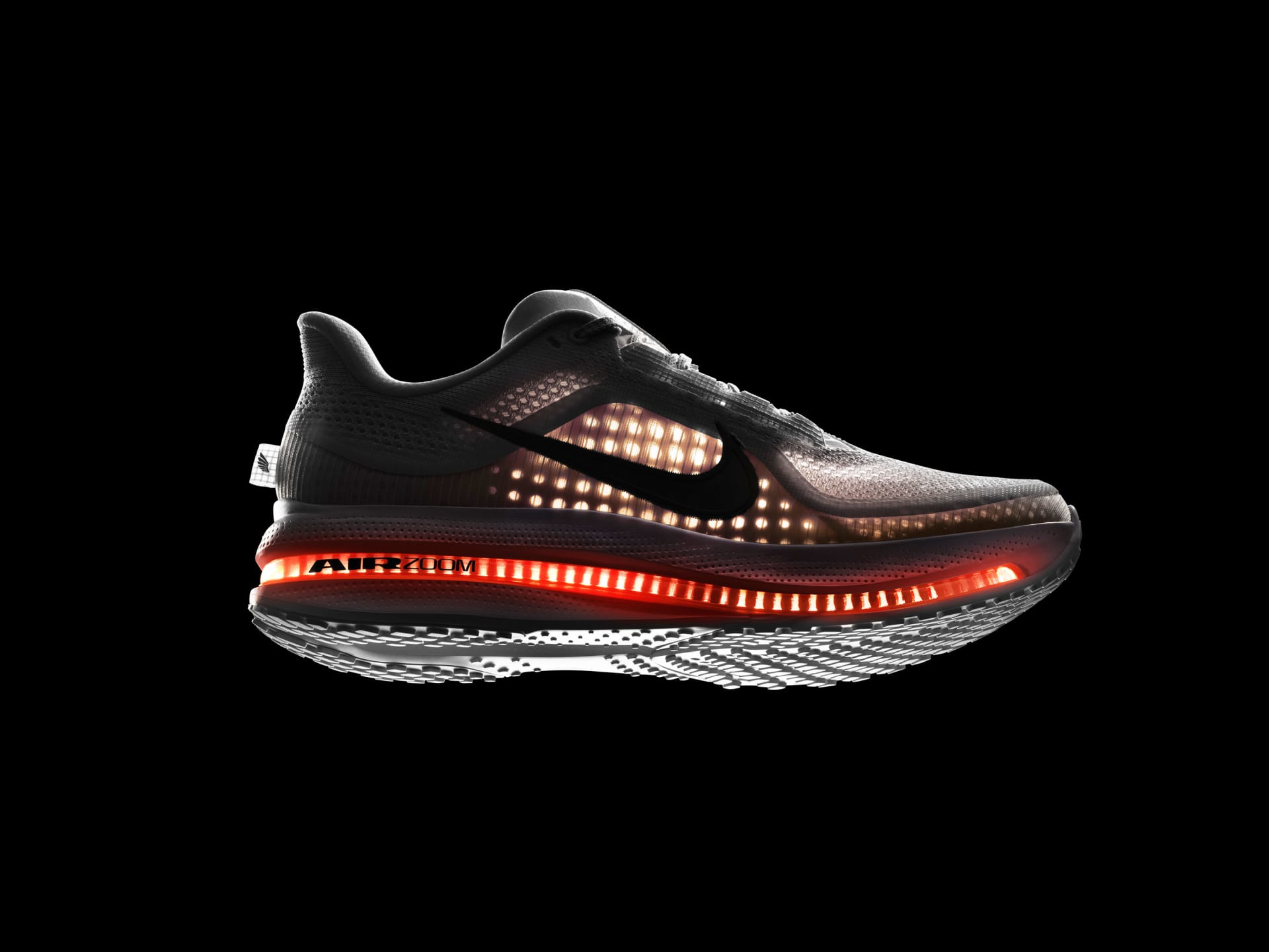 Nike Pegasus Premium - Photo: Nike Inc